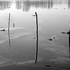 фото "Pateira. ( Portugal )"