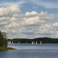 photo "Regatta"