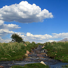 фото "Ручей  долины"