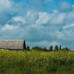 photo "The house in a grass"