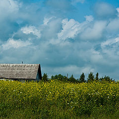 фото "Дом в траве"