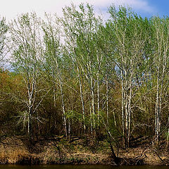 photo "Ural. Spring."