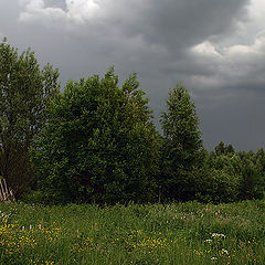photo "The Thunderstorm"