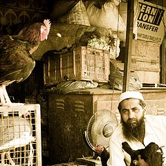 photo "delhi market"