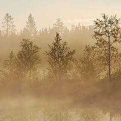 photo "Early morning at Liekajarvi lake"