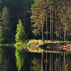 фото "Бережок"