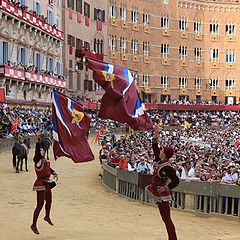 photo "Echo of the Middle Ages.Palio.Siena."