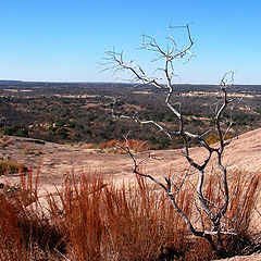 photo "Winter in Texas"