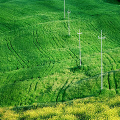 photo "Contamination of landscape"