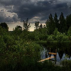 photo "Before the storm"