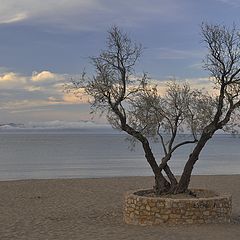 фото "Весенний вечер в l'Escala"