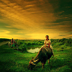 photo "Shepherd boy"