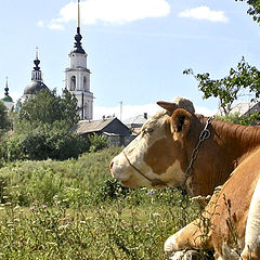 фото "Лето в деревне"