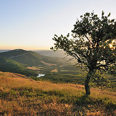 photo "Расветная."