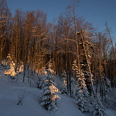 фото "рассвет"