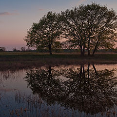 photo "Evening at the Lake"