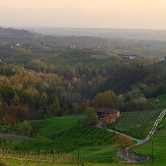 фото "Lanscape of the "Langhe""