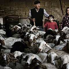 photo "Last Umbrian Shepherds"