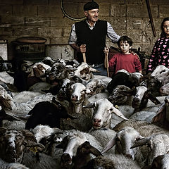 фото "Last Umbrian Shepherds"