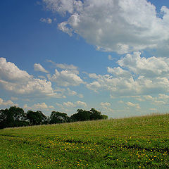 photo "Summer...."