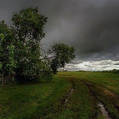 фото "Проселочное... бездорожье"