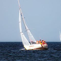 photo "Regatta"