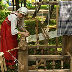 photo "The weaver"