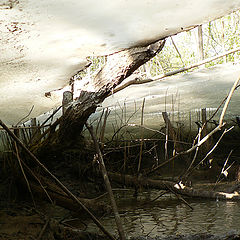 photo "secluded little world ( under ice - 2 )"