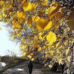 photo "осень,одиночество,печаль"