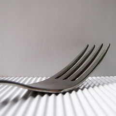 photo "Fork"