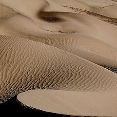 photo "sand dune"