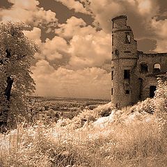 photo "THE CASTLE"