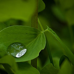 photo "Reflecting the sky"