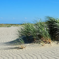 photo "The dune-Neringa"