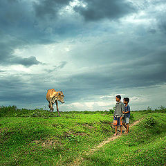 photo "Shepherd boy"