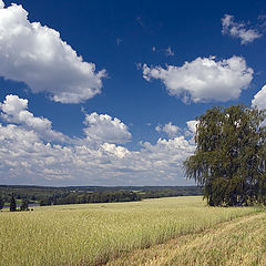 фото "Летние просторы"