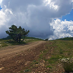 фото "Дорога к облакам"