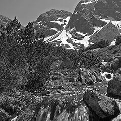 photo "Tatra Maountains"