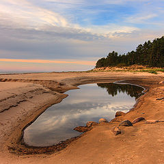 фото "Лужа"