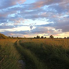 фото "Нескошенный луг"