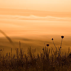 photo "Горы, утро, туман"