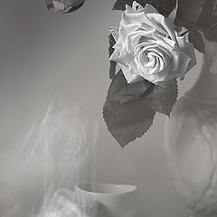 фото "чайные розы..."