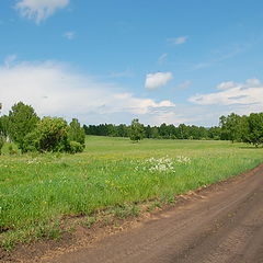 фото "дорога..."