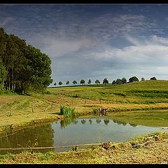 photo "ordinal puddle"