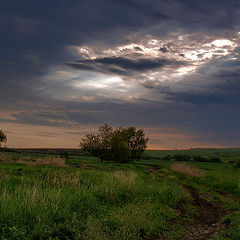 фото "Знамение"