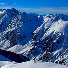 фото "Альпийская"