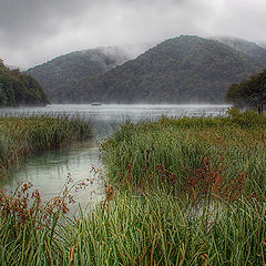 photo "Boat in fog"