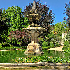 фото "fountain"