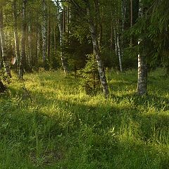 фото "Вечер жаркого дня"