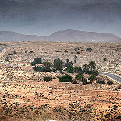 photo "Kind near the city of Matmata. Tunisia"